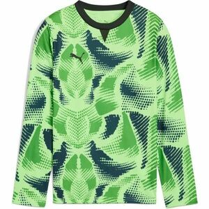 Puma TEAMTARGET GL LS JERSEY JR Gyerek kapusmez, zöld, méret kép