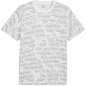 Puma ESSENTIALS LOGO LAB AOP TEE Férfi póló, szürke, méret kép