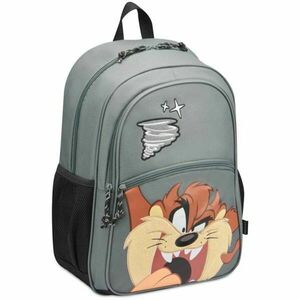 RONCATO LOONEY TUNES S TAZ Gyerek hátizsák, szürke, méret kép