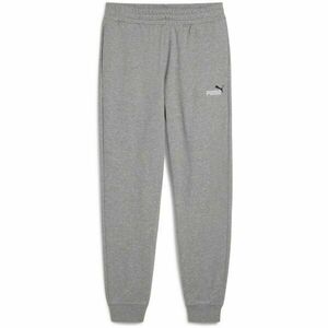 Puma ESSENTIALS 2 COLOR NO1 LOGO PANTS Férfi melegítőnadrág, szürke, méret kép