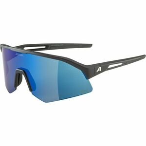 Alpina Sports SONIC HR Q-LITE Napszemüveg, fekete, méret kép