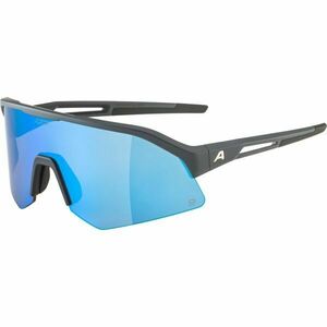 Alpina Sports SONIC HR Q Napszemüveg, sötétszürke, méret kép