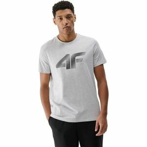 4F TSHIRT Férfi póló, szürke, méret kép