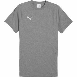 Puma TEAMEVOSTRIPE TEE Férfi póló, szürke, méret kép