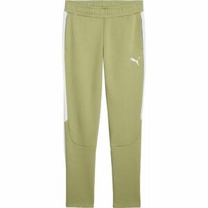 Puma TEAMEVOSTRIPE PANTS Férfi melegítőnadrág, khaki, méret kép
