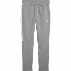 Puma TEAMEVOSTRIPE PANTS Férfi melegítőnadrág, szürke, méret kép