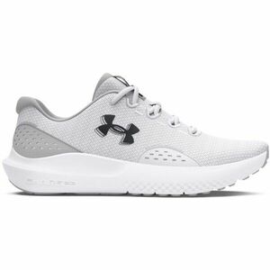 Under Armour CHARGED SURGE 4 Férfi futócipő, szürke, méret 45.5 kép