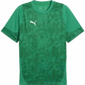 Puma TEAMCUP TRAINING JERSEY Férfi mez, zöld, méret kép