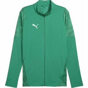 Puma TEAMCUP TRAINING JACKET Férfi futballkabát, zöld, méret kép