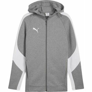 Puma TEAMEVOSTRIPE HOODED JACKET Férfi kabát, szürke, méret kép