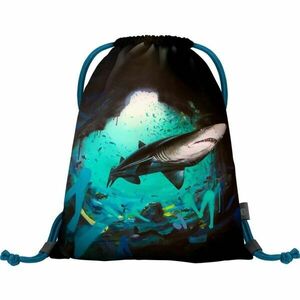 BAAGL EARTH SHARK BY LUKERO Zsák, fekete, méret kép