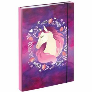 BAAGL HORSE Füzettartó box A4, lila, méret kép