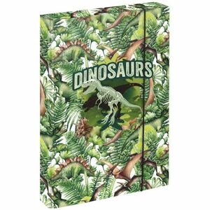 BAAGL JUMBO DINOSAURS Füzettartó box A4, zöld, méret kép