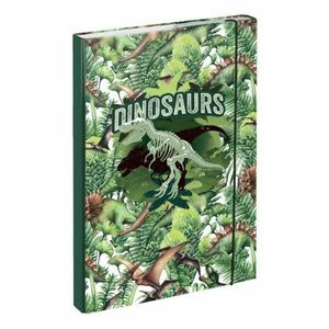 BAAGL DINOSAURS Füzettartó box A4, zöld, méret kép