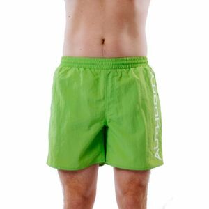 Férfi fürdőruha AUTHORITY SW-WAKA apple green kép