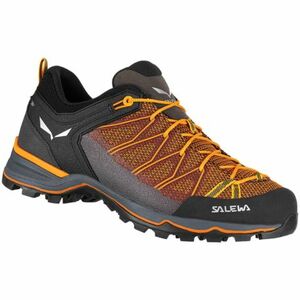 Férfi alacsony túracipő SALEWA Mountain Trainer Lite M ombre blue carrot kép