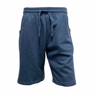 Férfi melegítőnadrág AUTHORITY TS-PENNE shorts blue melange kép