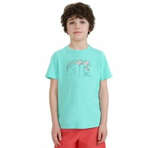 Fiú rövid ujjú póló 4F JUNIOR TSHIRT M1917-47S-MINT kép