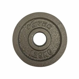 Súlyzósúlyok V3TEC Gussscheiben kép