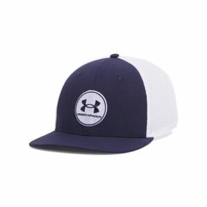 Férfi sapka UNDER ARMOUR M Iso-chill Drive Low STR-BLU kép