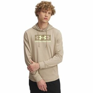 Férfi kapucnis pulóver UNDER ARMOUR UA Rival Terry Logo Hood-BRN kép