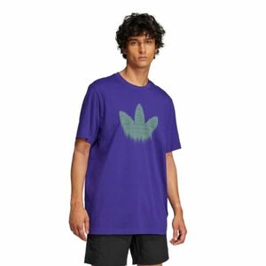 Rövid ujjú férfi póló ADIDAS ORIGINALS SKELETON TR TE CPURPL kép