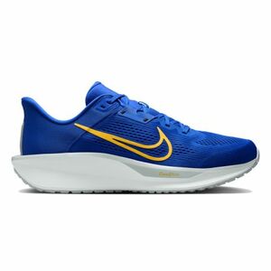 Férfi sportcipő (edzés) NIKE Quest 6 M royal laser orange wolf grey white kép