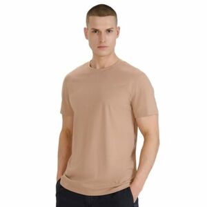 Rövid ujjú férfi póló 4F TSHIRT-WSS25TTSHM2074-83S-BEIGE kép