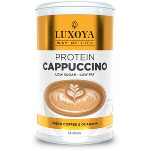 Protein Cappuccino 14 x 15 g kép