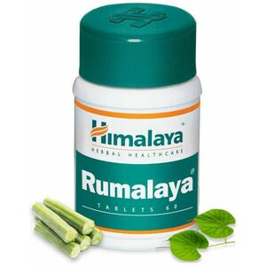 Rumalaya Forte tabletta 60 db kép