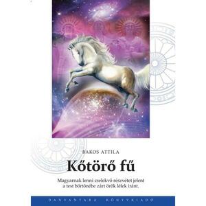 Bakos Attila - Kőtörő fű | őstörténeti könyv kép