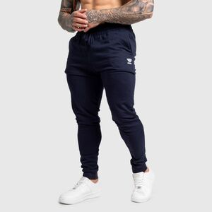 Férfi jogger melegítőnadrág Iron Aesthetics Snap, navy kép