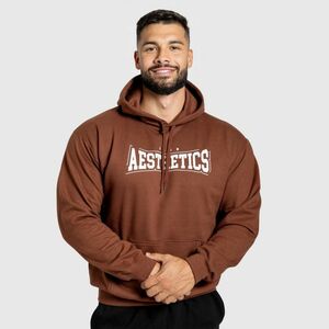 Férfi kapucnis pulóver Iron Aesthetics Frontline, cocoa kép