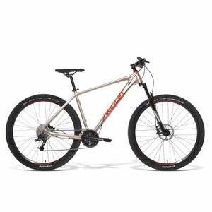 Mountain bike AMULET (II. Quality) 29 Shift 5.0 SR, silver orange kép