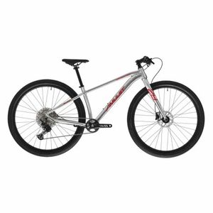 Junior mountain bike AMULET (II. Quality) 29 Youngster 1.11 SH, alu brushed transparent red kép