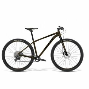 Junior mountain bike AMULET (II. Quality) 29 Youngster carbon 1.12 SH, gold-black matt black matt kép