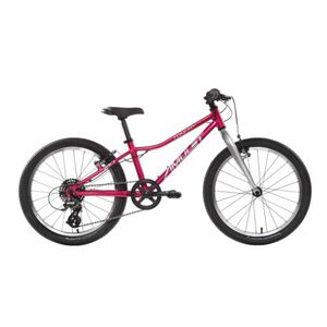 Lány mountain bike AMULET (II. Quality) 20 Tomcat SH SMU, raspberry silver kép