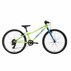 Gyermek mountain bike AMULET (II. Quality) 24 Fun SH SMU, light green blue kép