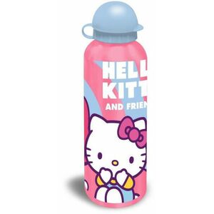 Hello Kitty Friends 500 ml (EWA50205HKA) kép