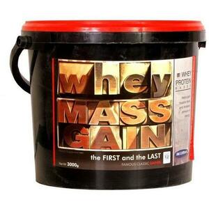 Whey Mass Gain 3000 g kép