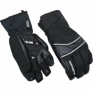 Síkesztyű BLIZZARD Profi ski gloves, black silver kép