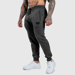 Jogger melegítőnadrág Iron Aesthetics Round, szürke kép