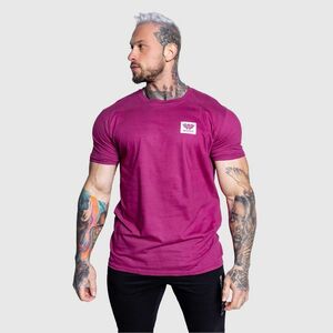 Férfi sportpóló Iron Aesthetics Quick, berry kép