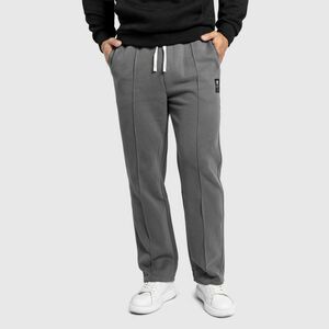 Férfi melegítőnadrág Iron Aesthetics Prestige, szürke kép