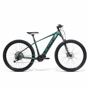 Elektromos mountain bike AMULET 29 eRival 5.0 SR, racing green black, před kontrolou kép