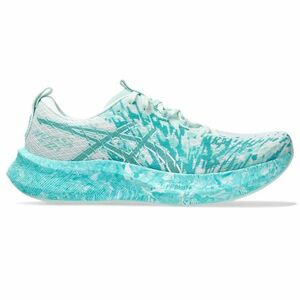 Férfi futócipő ASICS Noosa Tri 16 M soothing sea white kép