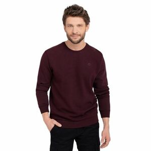 Férfi pulóver VOLCANO B-KIV-403-BURGUNDY kép