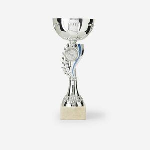 Trophée Vainqueurs Kupa, 23 cm - C160 kép