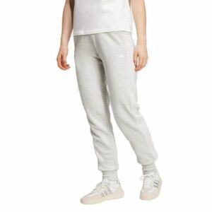 Női nadrágok ADIDAS W CO FT PT LGREYH WHITE kép