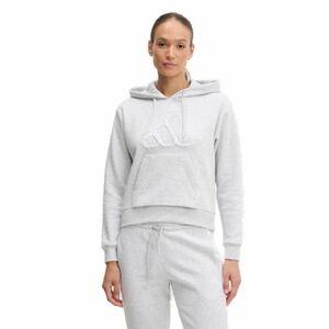 Női kapucnis pulóver ADIDAS W CO RUFF HD LGREYH kép